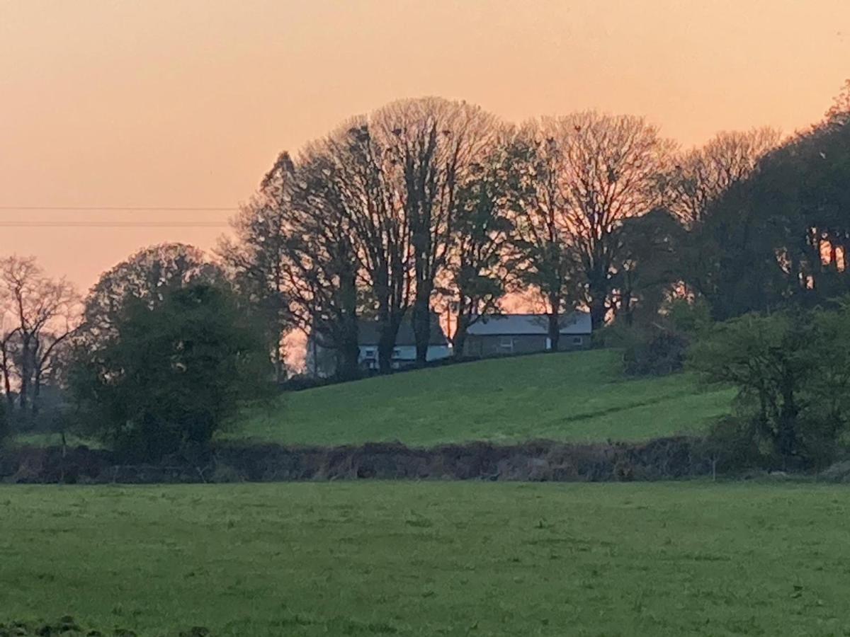 The Cottage Cork Eksteriør bilde